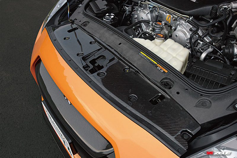 zele-carbon-fiber-radiator-shroud-zelegt-r14-1.347